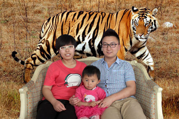 tiger-family2-copy